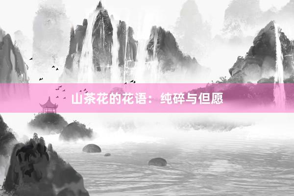 山茶花的花语：纯碎与但愿